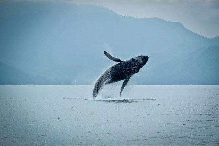 Reserva Guayabitos-Rincon de Guayabitos必去景点