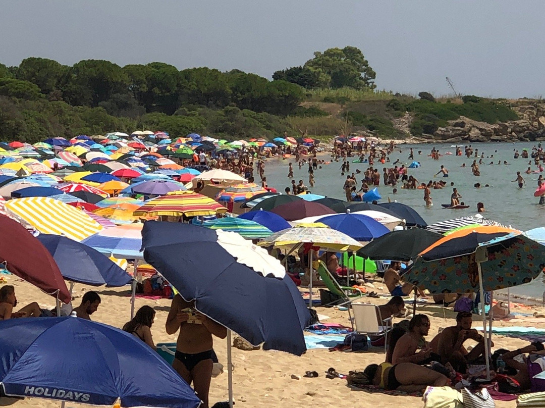Spiaggia Pineta del Gelsomineto景点图片