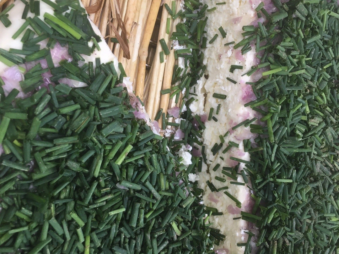 Chez Christophe-Castelnaudary必去景点