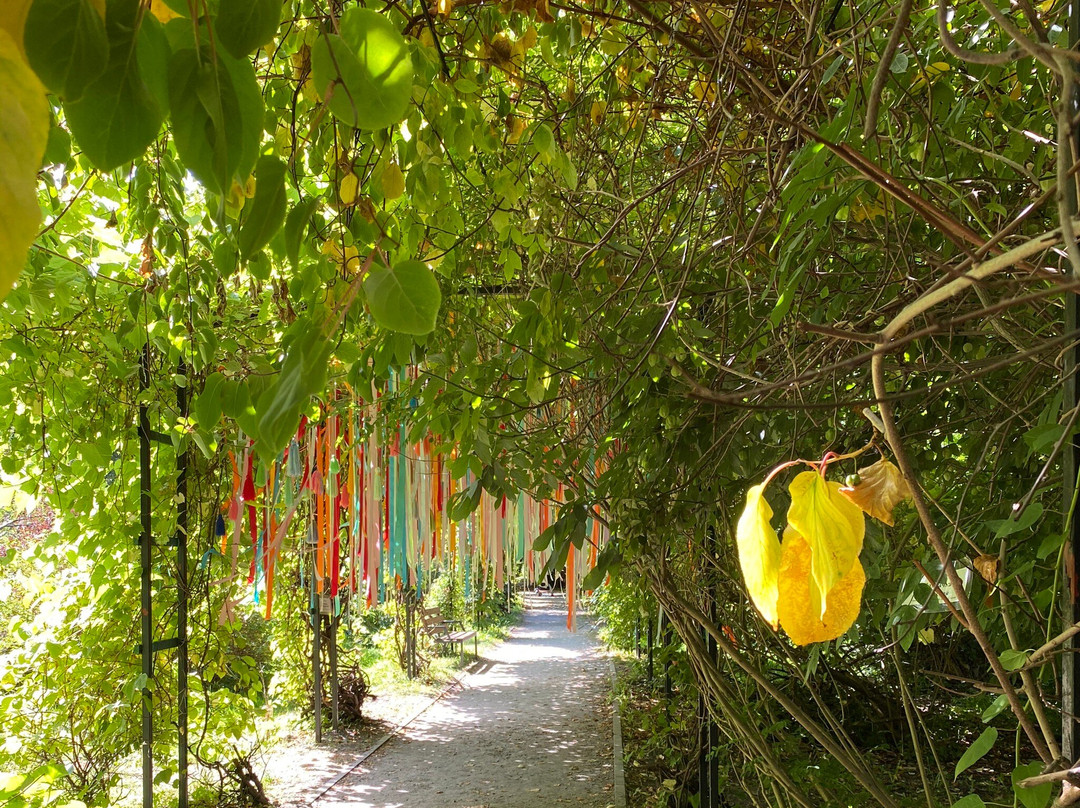 Botanical Garden of the Baltic Federal I. Kanta University-加里宁格勒必去景点