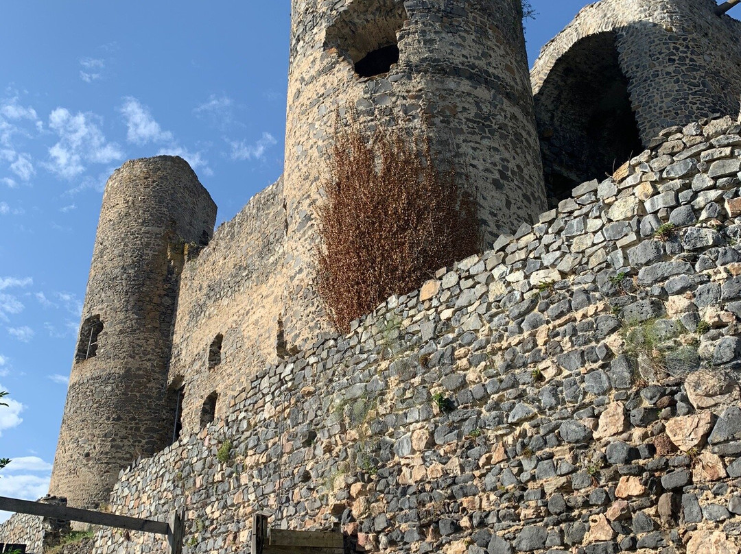 Chateau Domeyrat景点图片