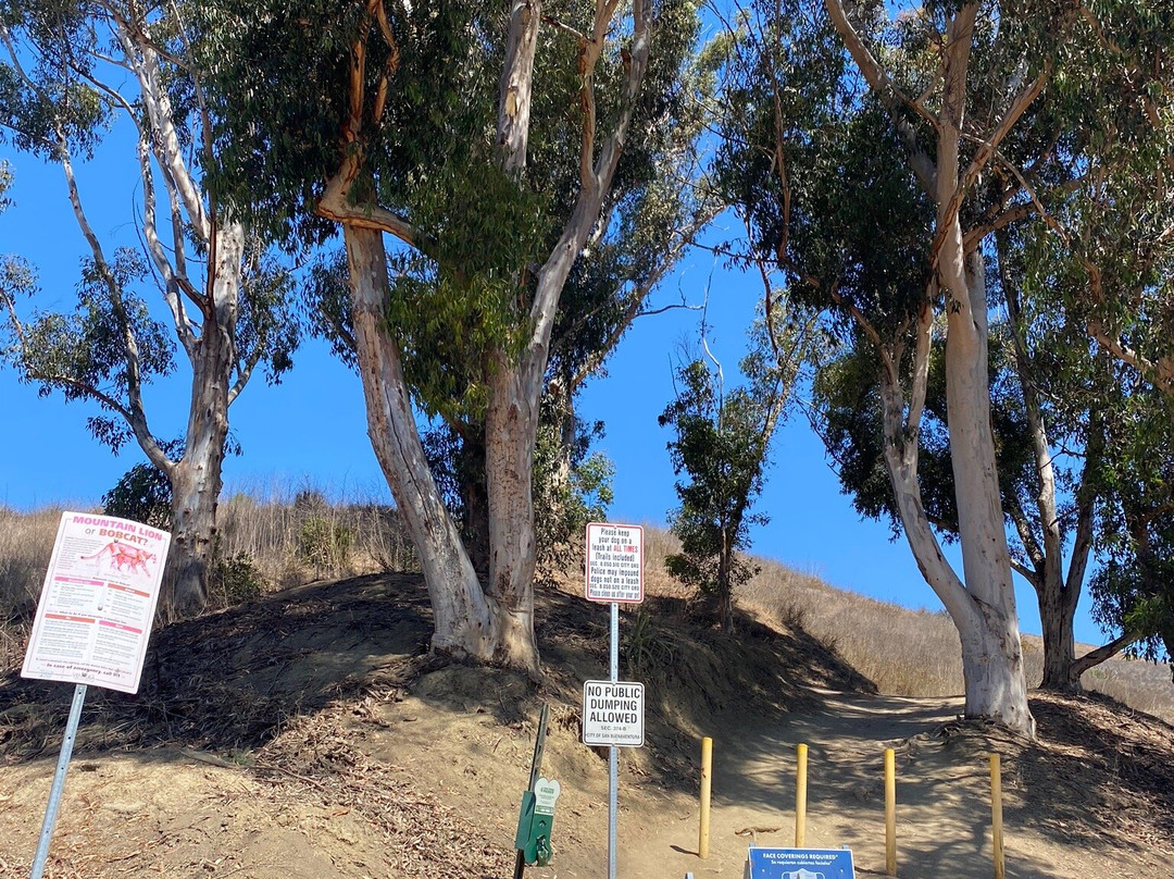 Arroyo Verde Park景点图片