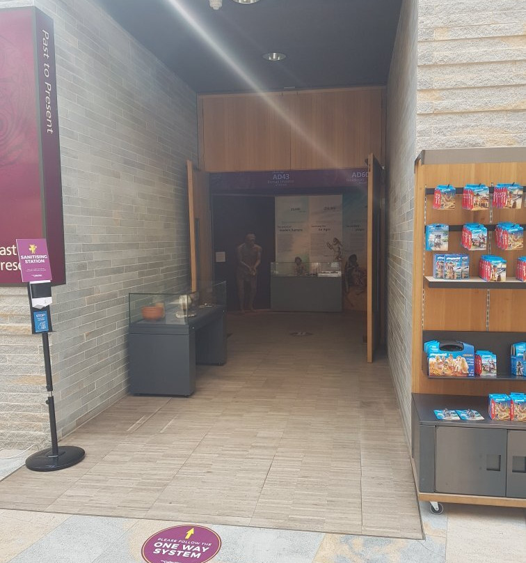 Lincoln Museum And Usher Gallery景点图片