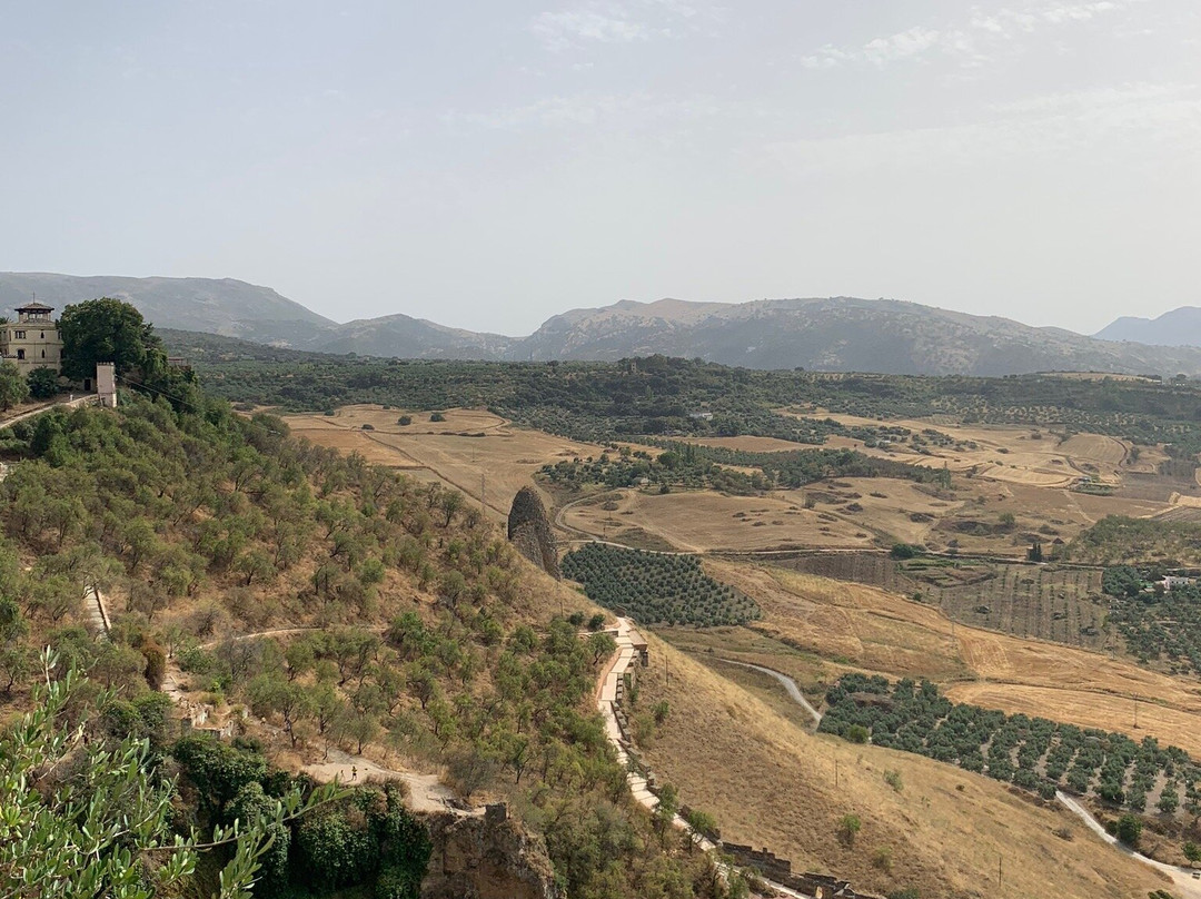 Mirador Paseo Blas Infante景点图片