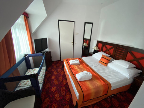 Liget Wellness & Conference Hotel主图