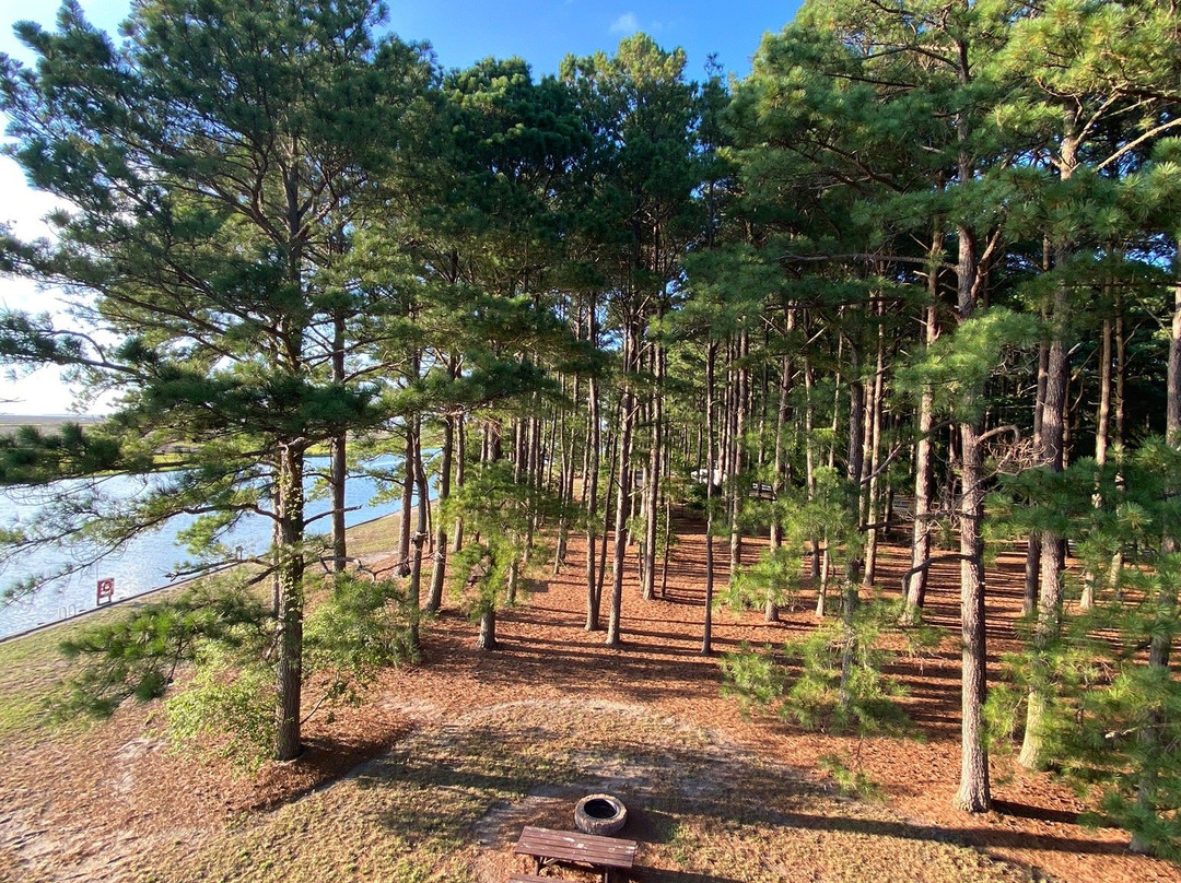 Janes Island State Park-Crisfield必去景点