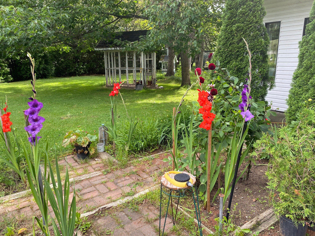 Gîte de la Maison Blanche主图