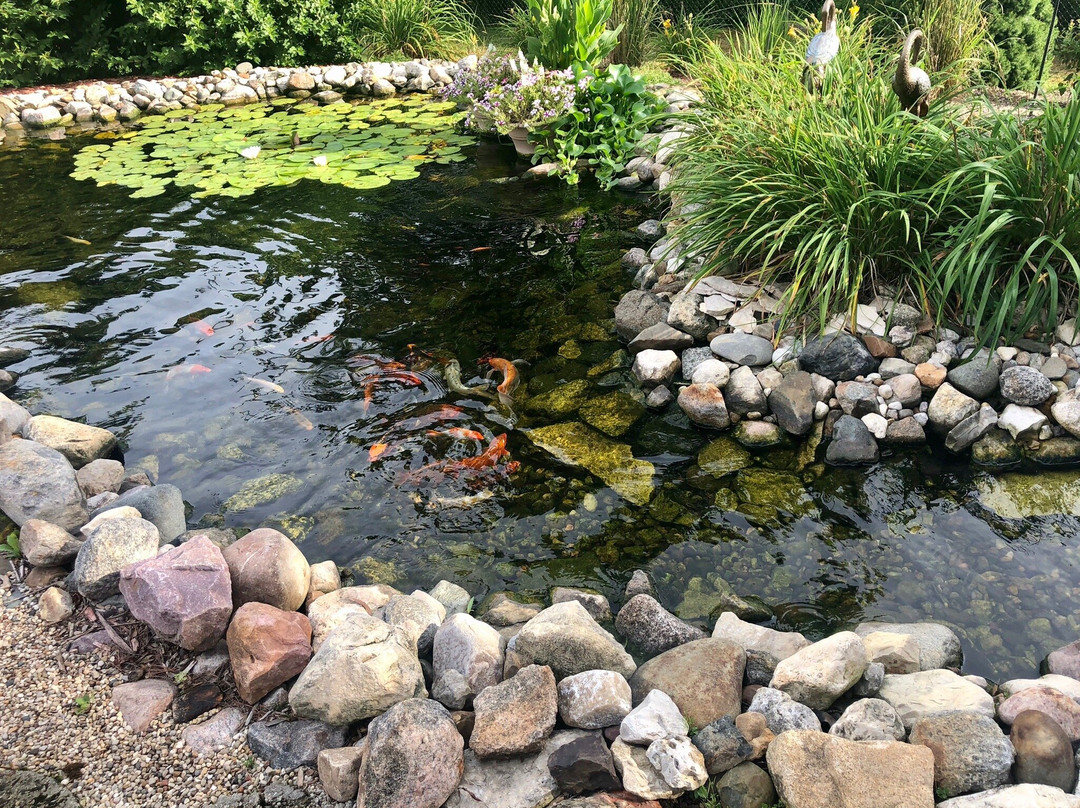 Oak Meadow Delight Bed & Breakfast主图