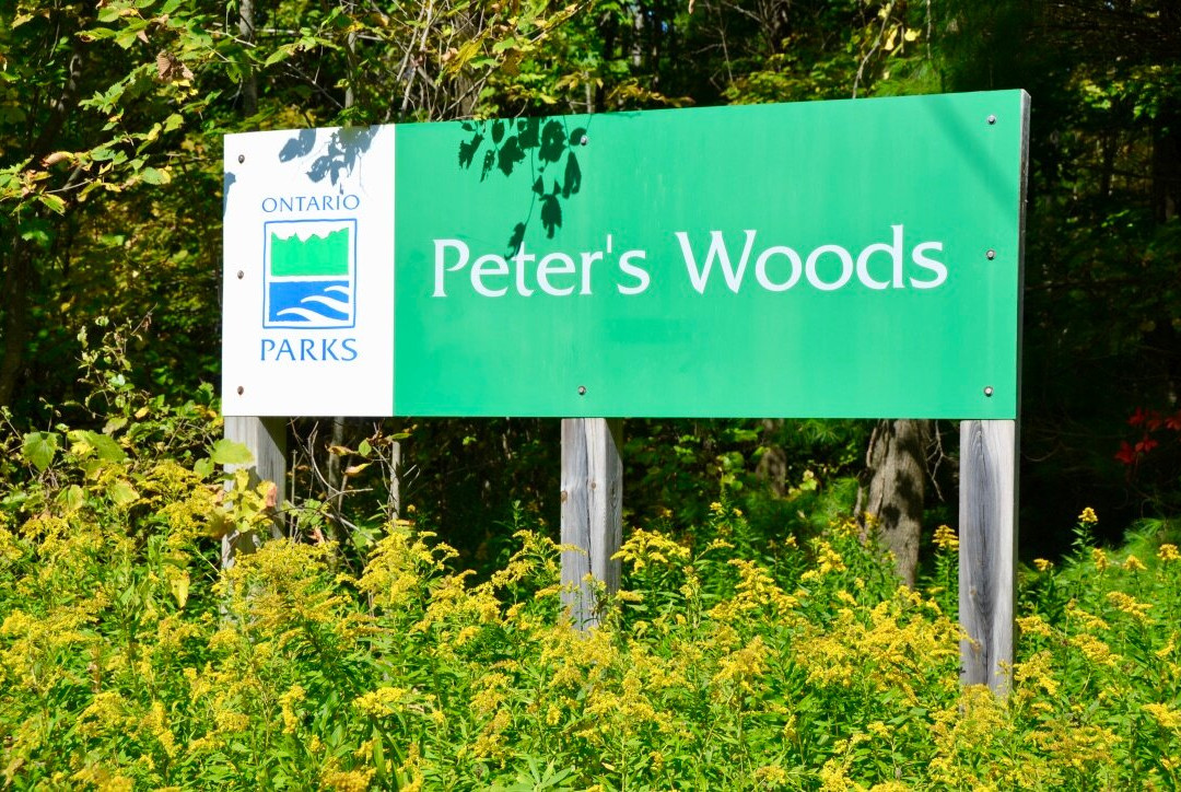 Peter's Wood Provincial Nature Reserve Trail景点图片