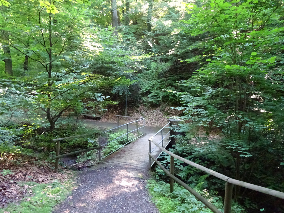 Gleichenberger Schlucht-泉格莱兴山必去景点