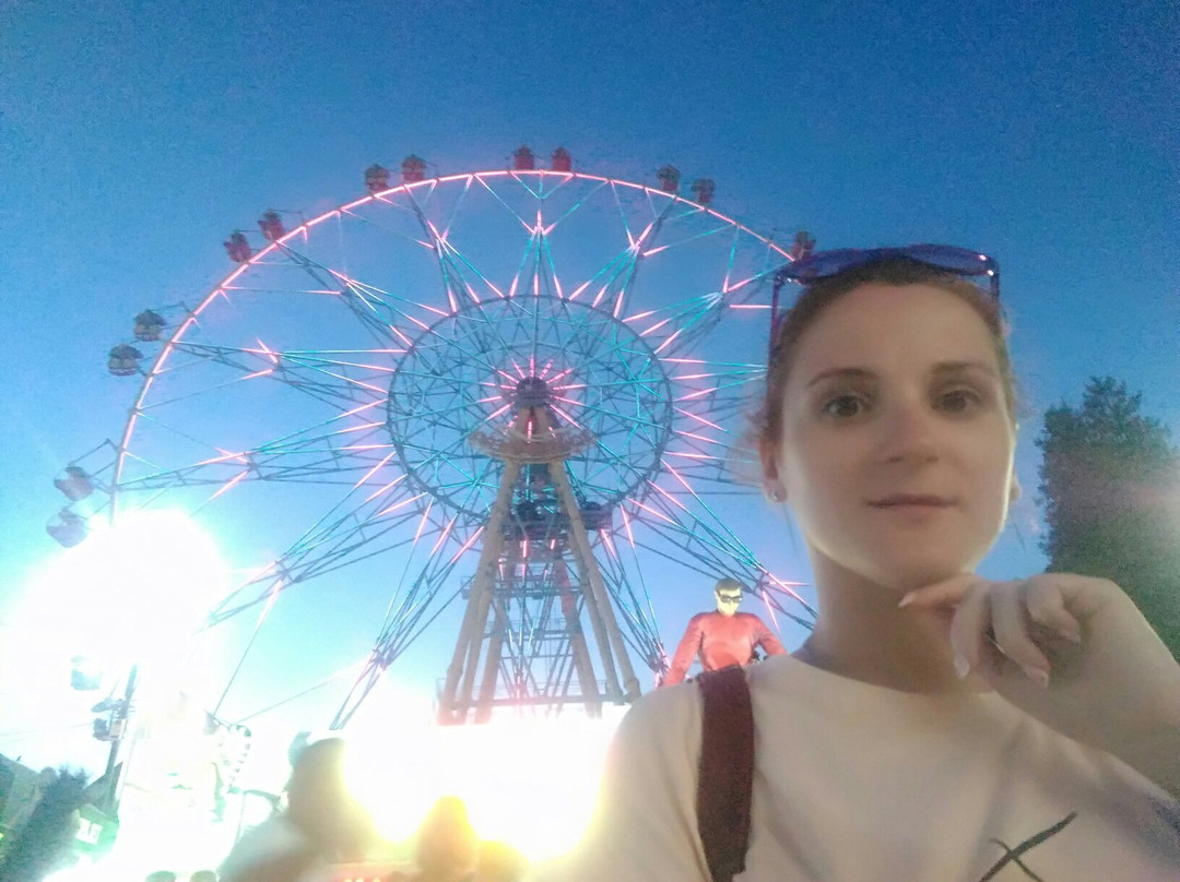 Ferris Wheel景点图片