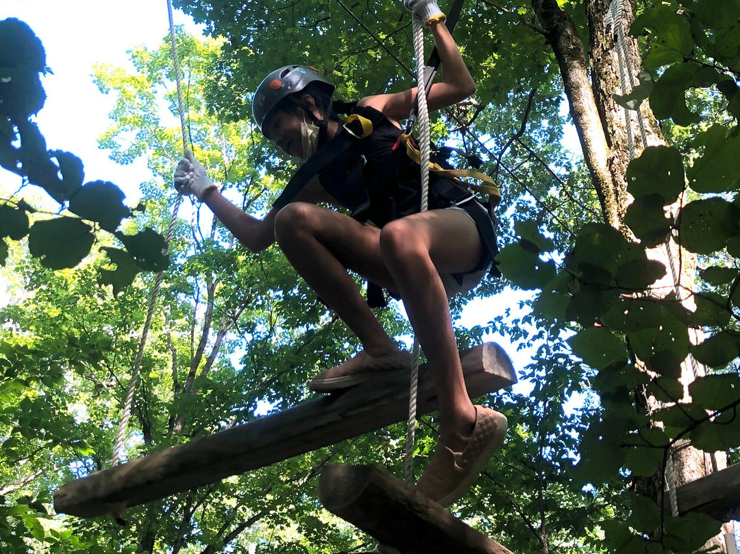 NY Zipline景点图片