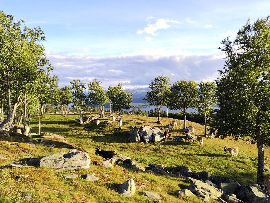 Langedrag Naturpark主图