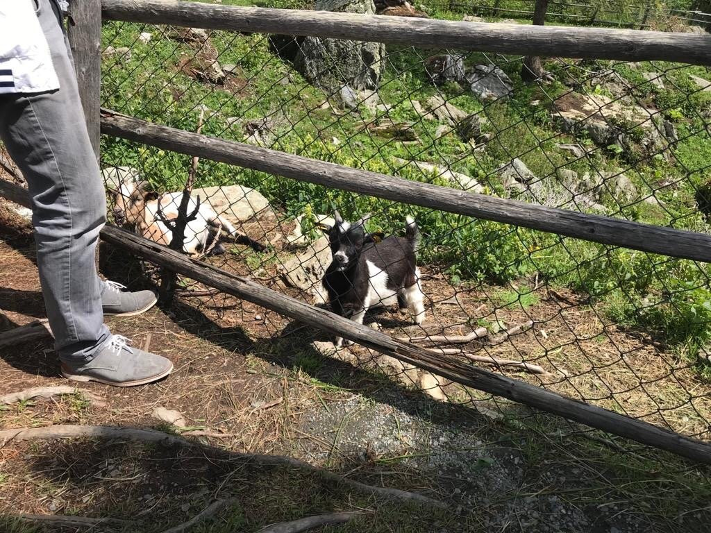 Heidi Alm Bergresort-Falkert必去景点