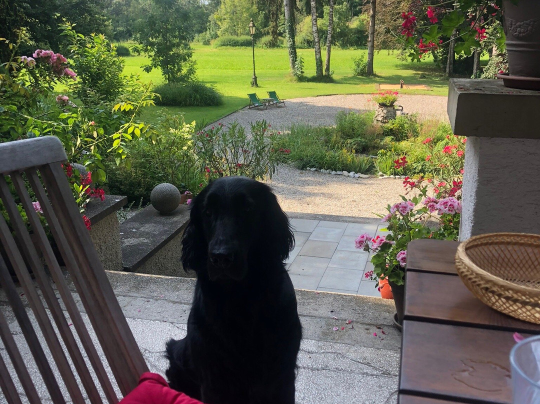 Villa Zollhaus Bed & Breakfast主图