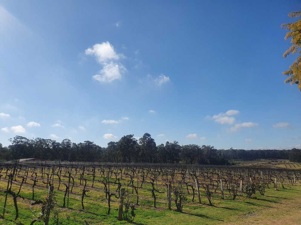 Tintilla Estate Wines景点图片