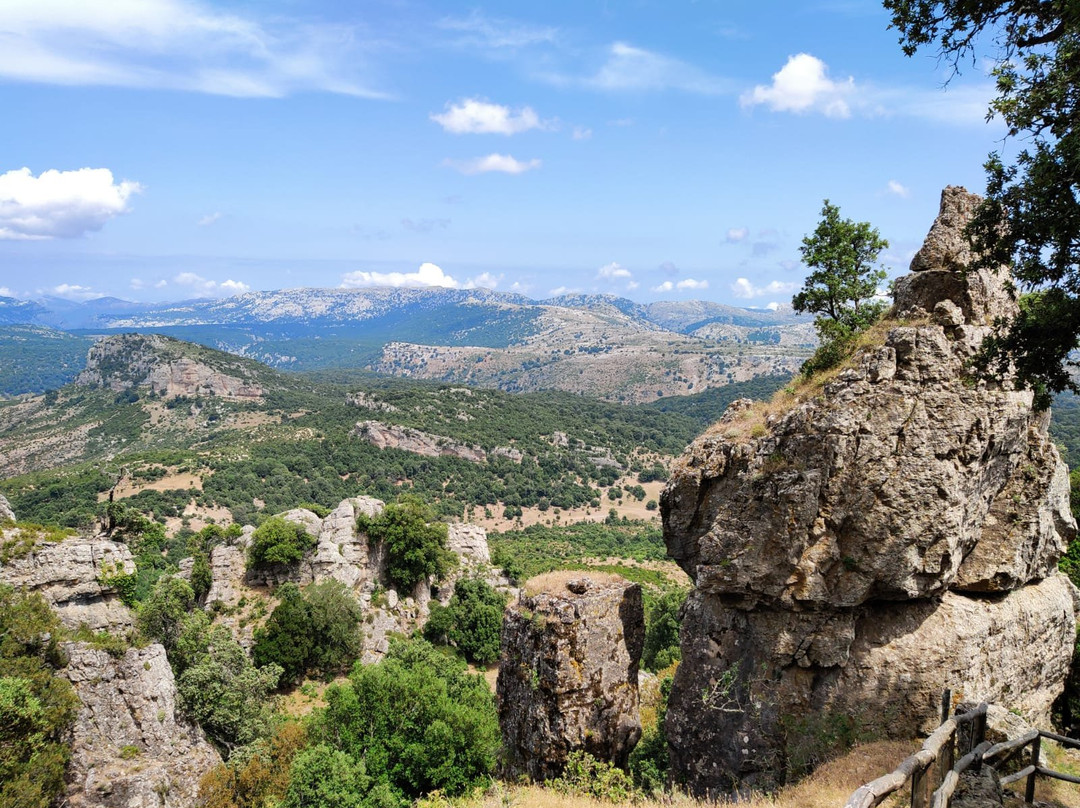 Foresta di Montes-Orgosolo必去景点