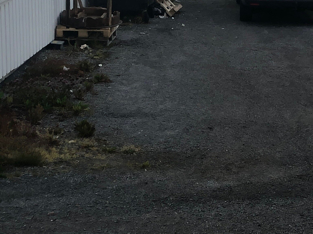 Lødingen Brygge主图