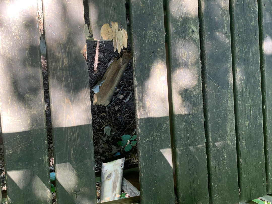 Elinor Bedell State Park-Spirit Lake必去景点