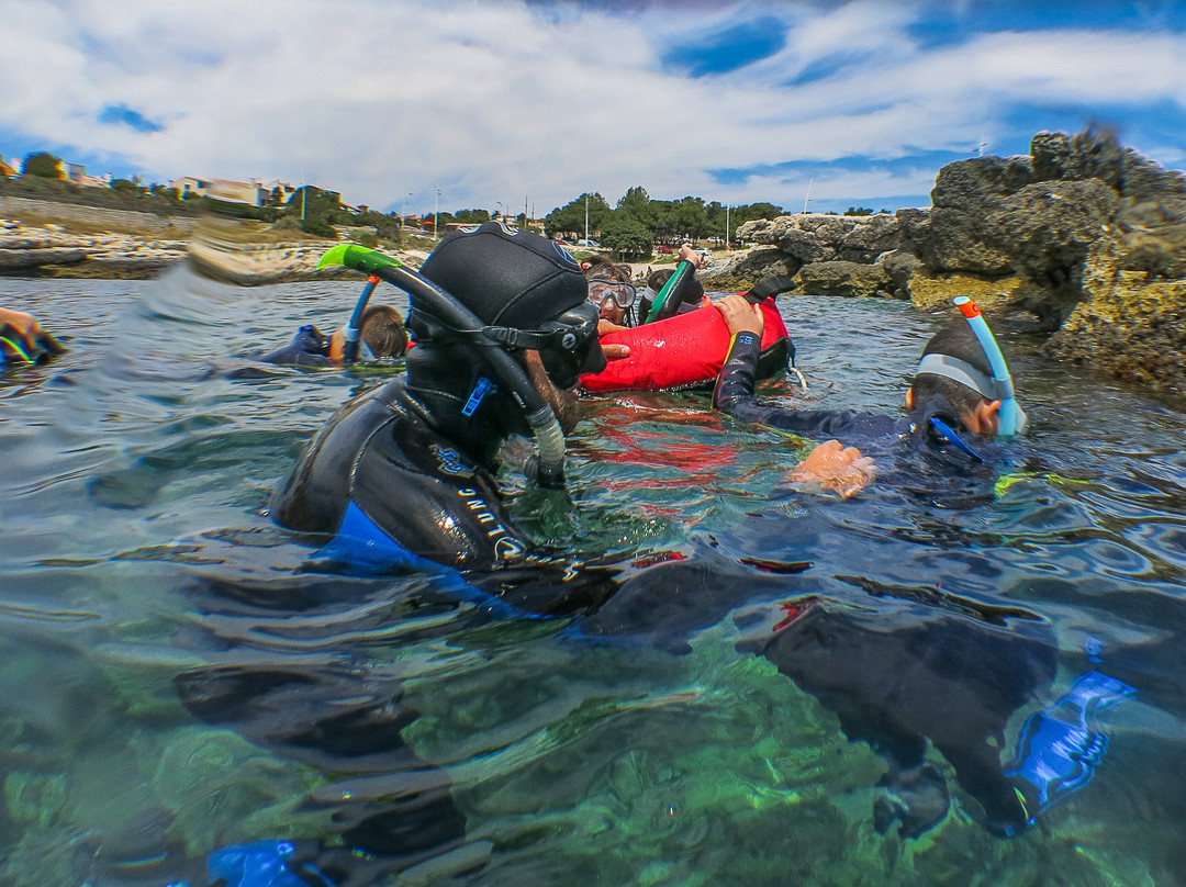 Fabrice Plongée-Sausset-les-Pins必去景点