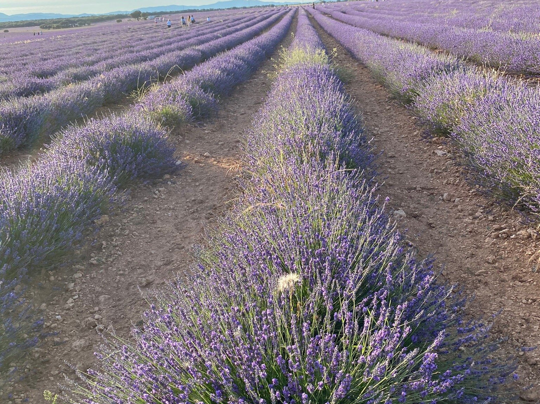 Hotel Rural El Salero主图