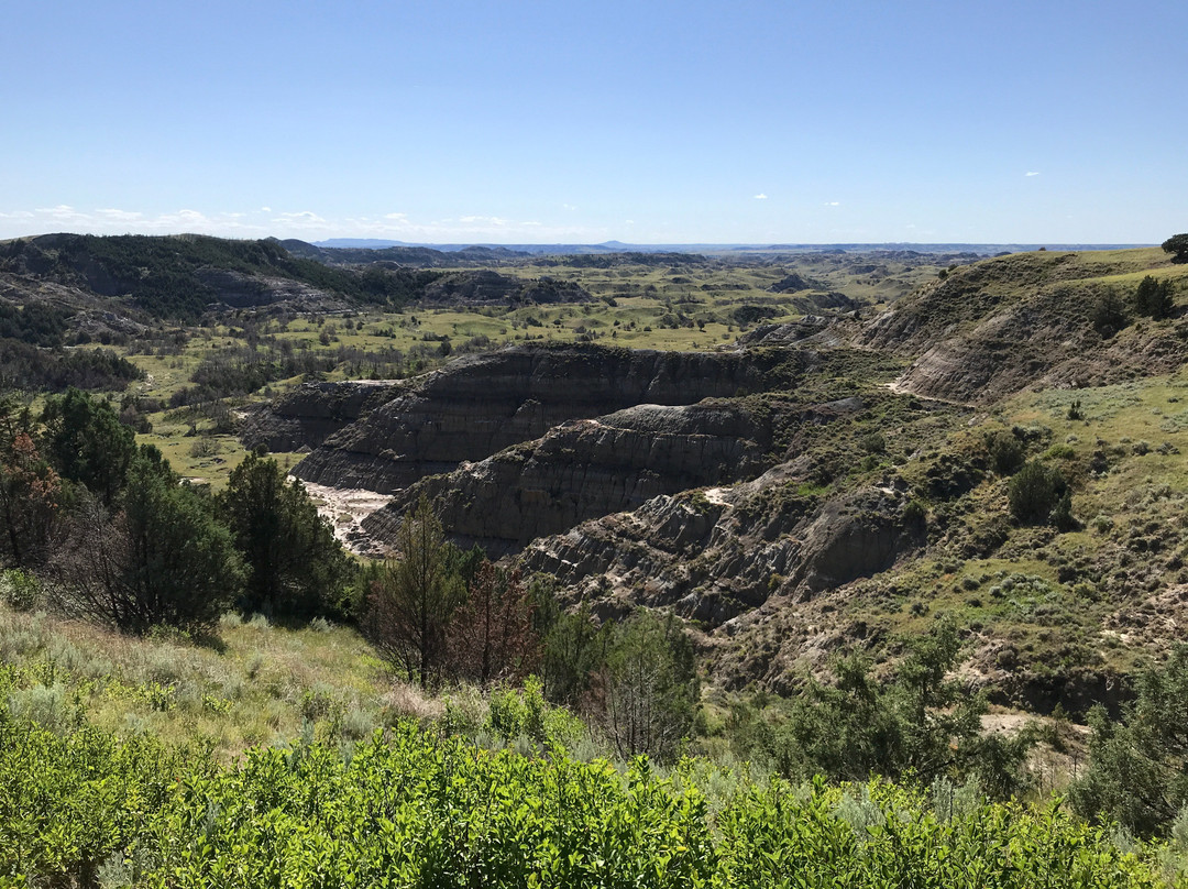 Boicourt Overlook Trail景点图片