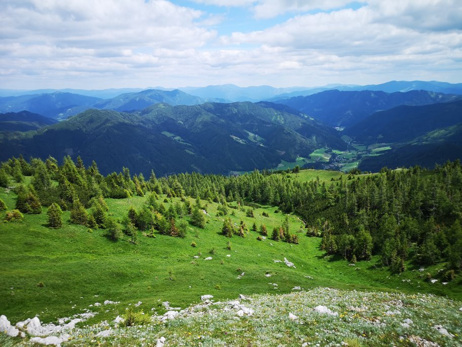Wanderung zum Edelweissboden - Hochturm-Trofaiach必去景点