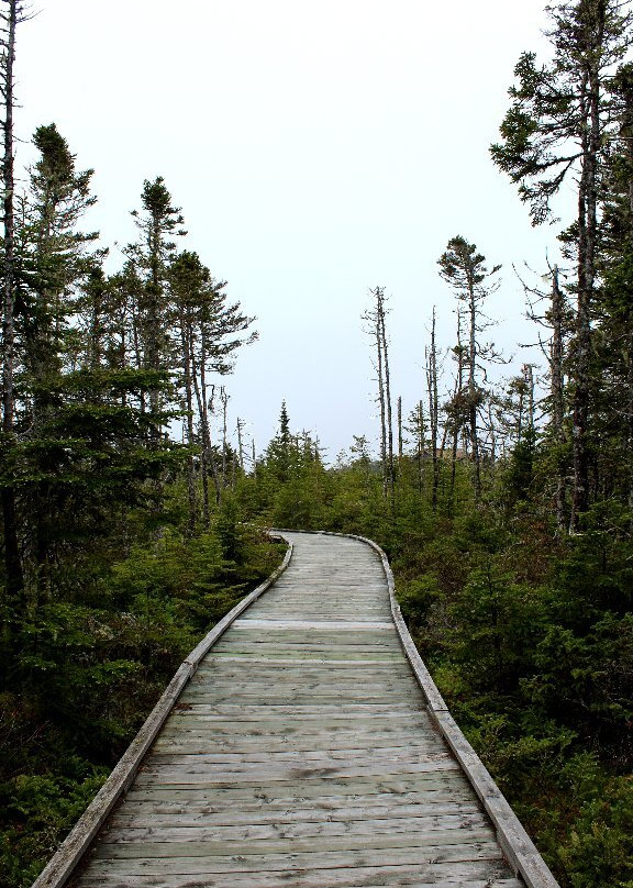 Tor Bay Provincial Park-Guysborough必去景点