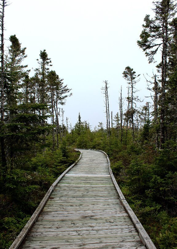 Tor Bay Provincial Park景点图片