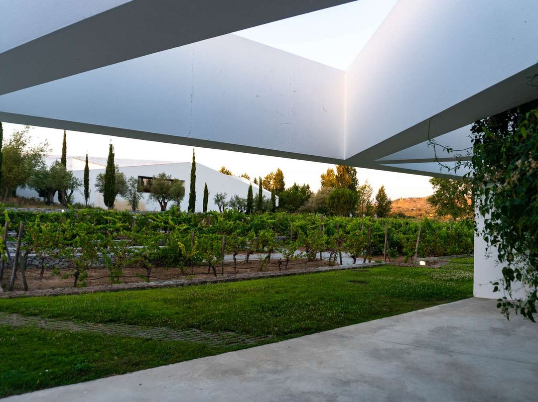 L'AND Vineyards主图