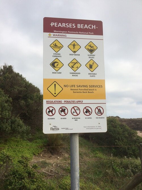 Pearses Beach景点图片