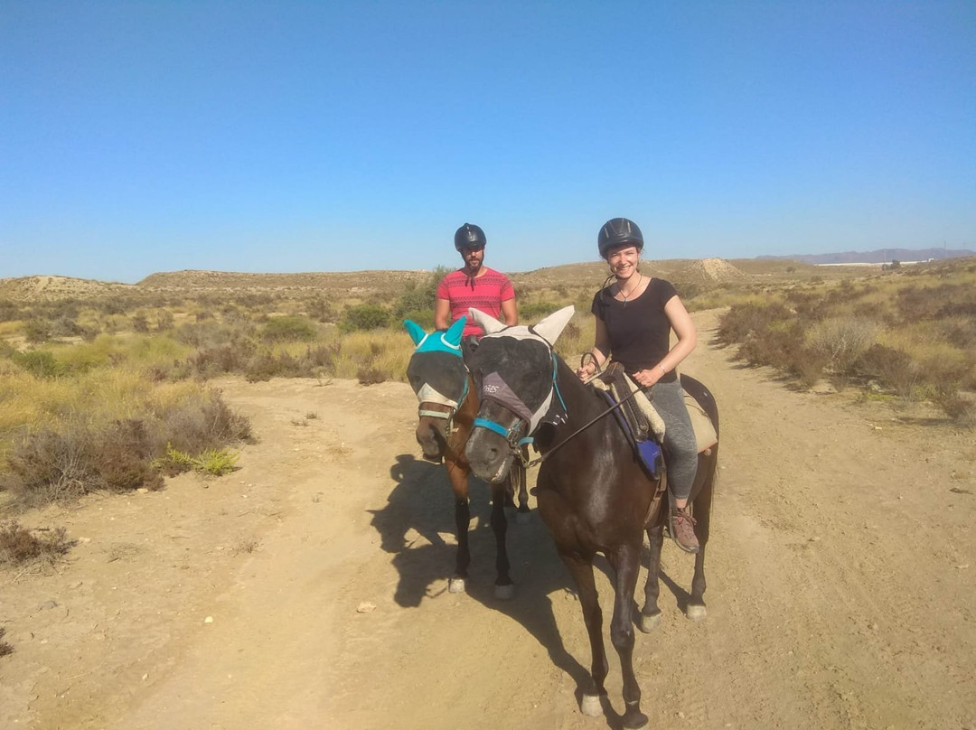 Kayak Cabo de Gata - Toyo Aventura-加塔角必去景点