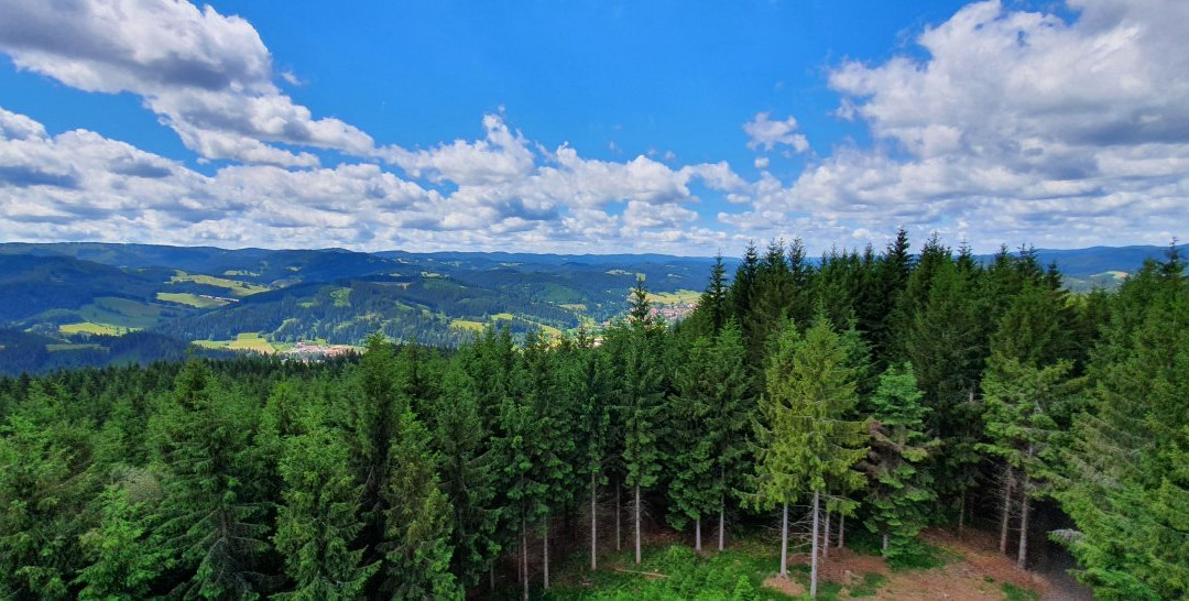 Lookout tower Milonova-Velke Karlovice必去景点