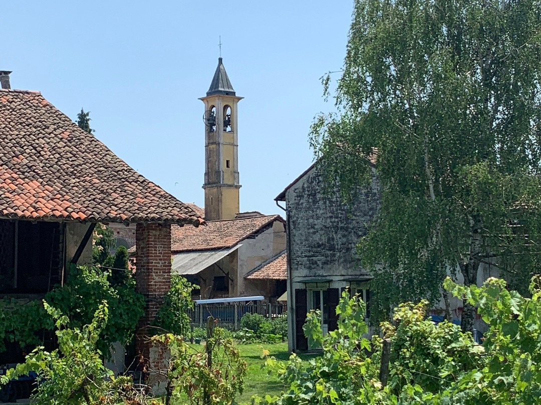 Cascina Sant'Albino di Mortara景点图片