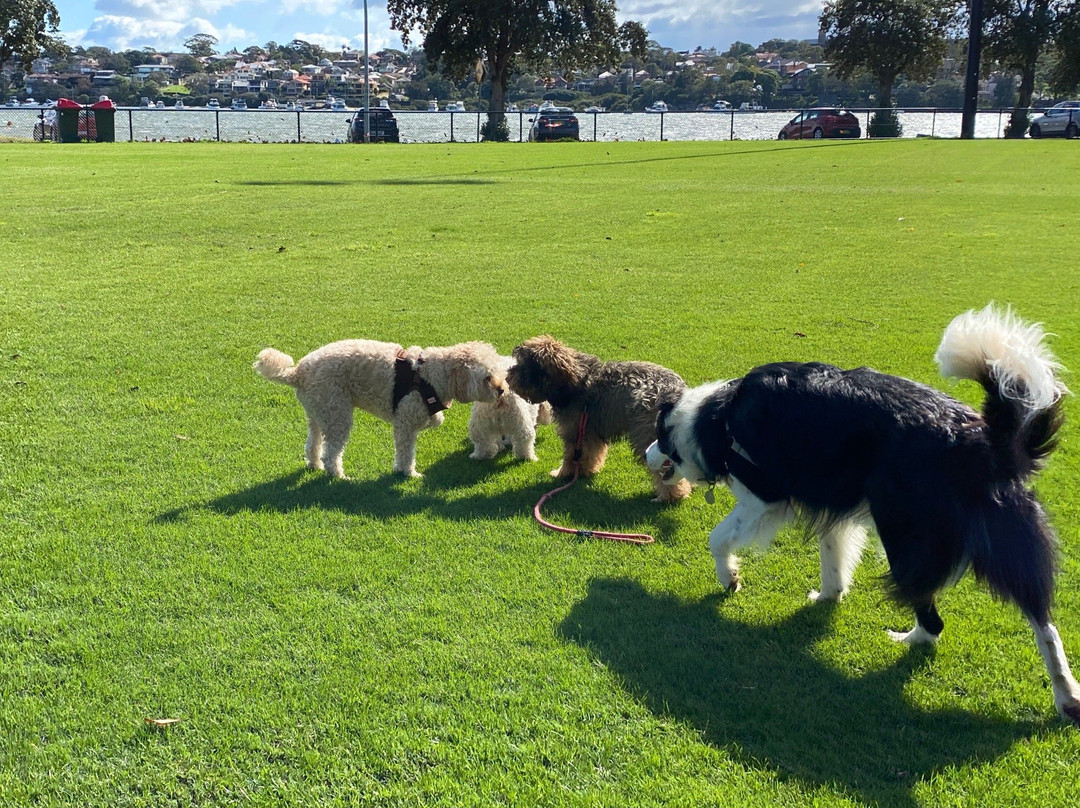 Callan Park-罗泽尔必去景点