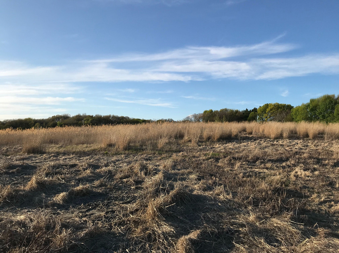 Passanageset Park-昆西必去景点