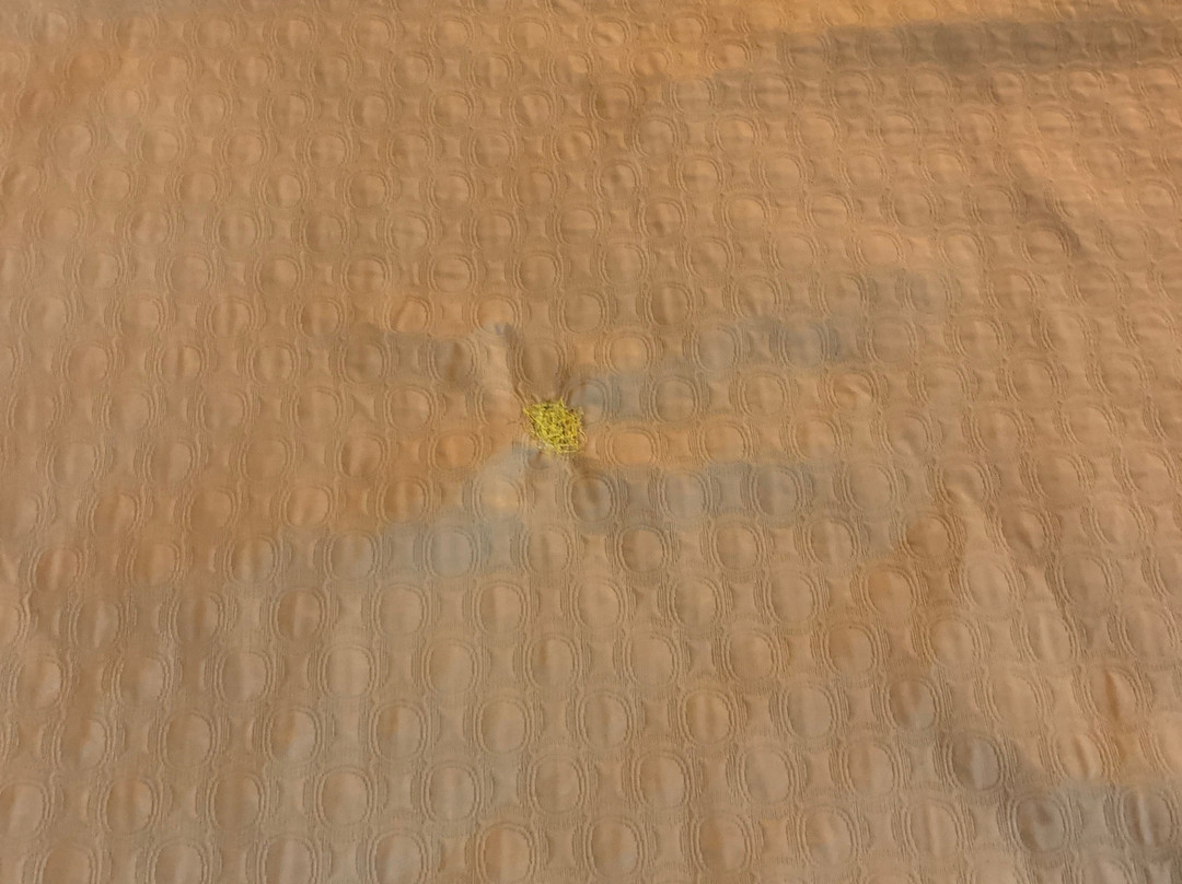 Super 8 by Wyndham Morrilton主图