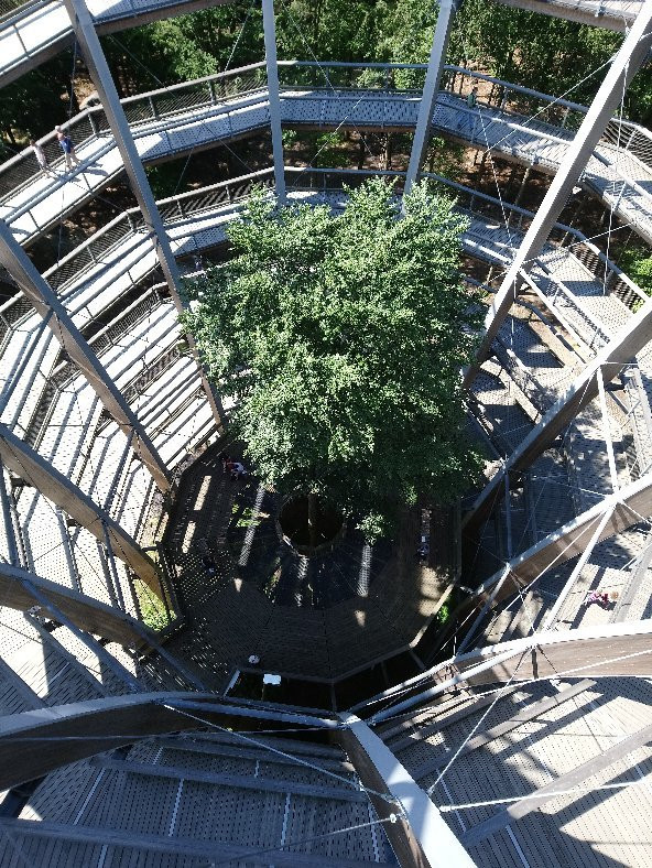 Baumwipfelpfad Steigerwald景点图片