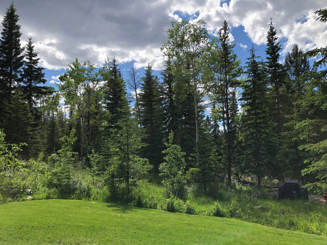 帕特里夏湖度假村主图