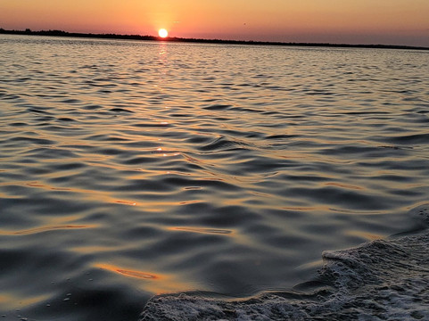 Matlacha Boat Rides and Rentals-Matlacha必去景点