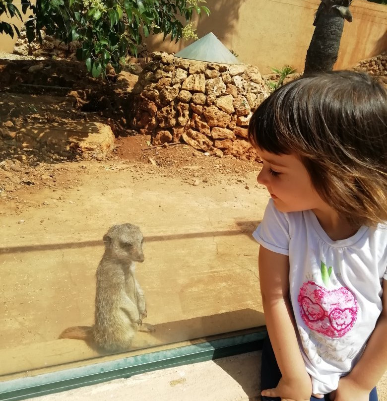 Safari Zoo Mallorca景点图片