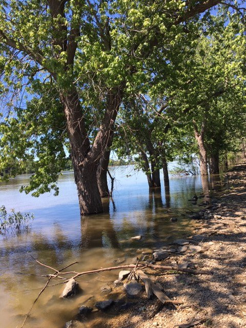 Two Rivers National Wildlife Refuge-Brussels必去景点
