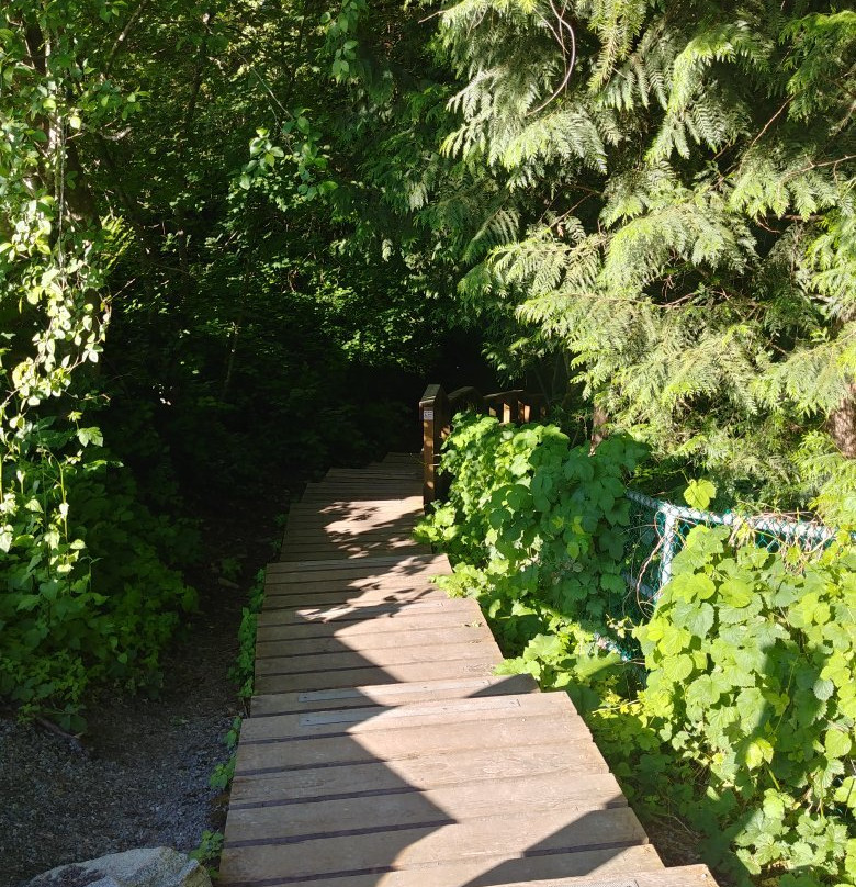 Lynn Headwaters Regional Park-北温哥华必去景点