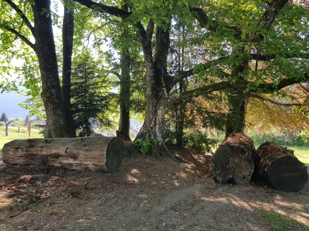 Parc et Maison de Malaz景点图片