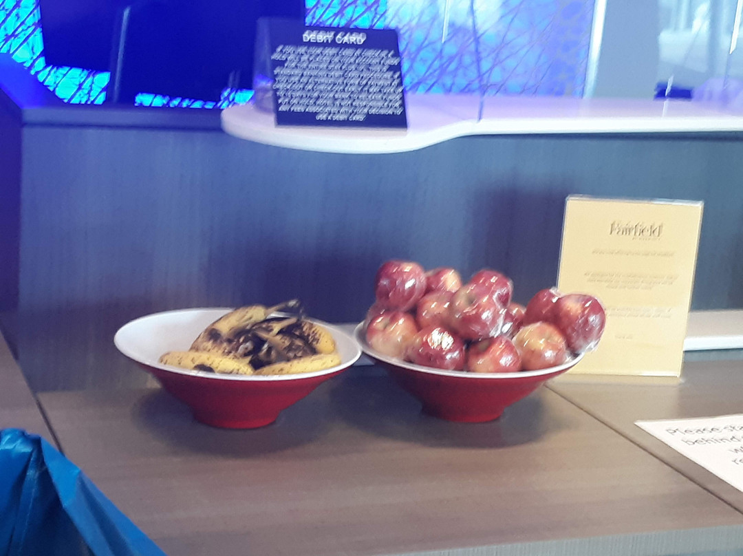 Fairfield by Marriott Inn & Suites Charlotte Pineville主图