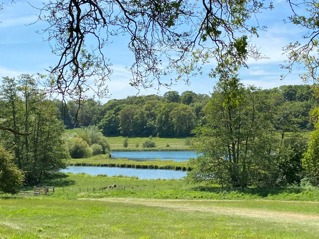 Panshanger Park,-Hertford必去景点