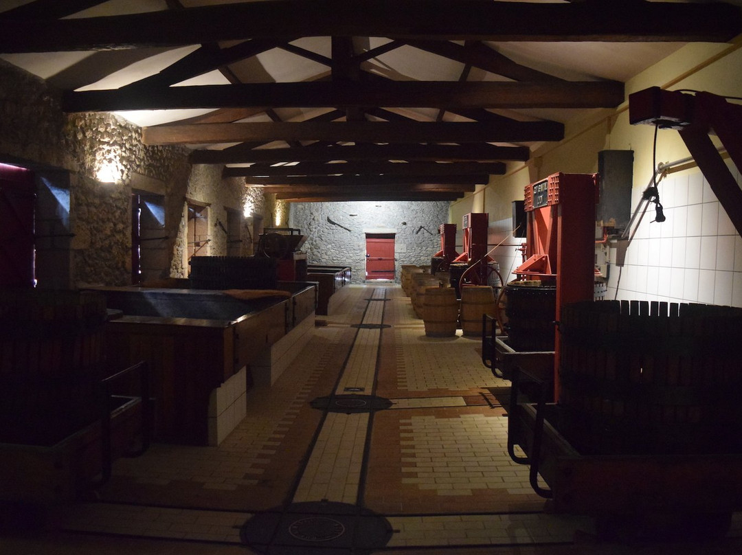 Chateau Coutet, Barsac-Sauternes景点图片