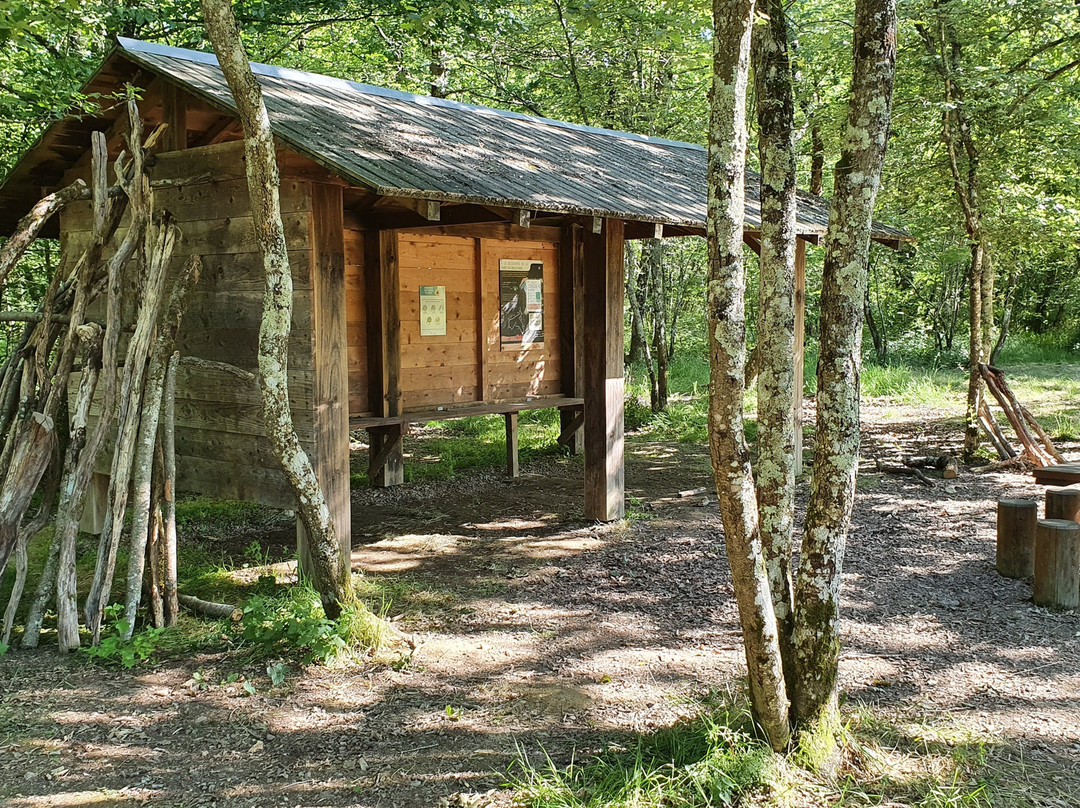 Forêt de Bouconne-Levignac必去景点