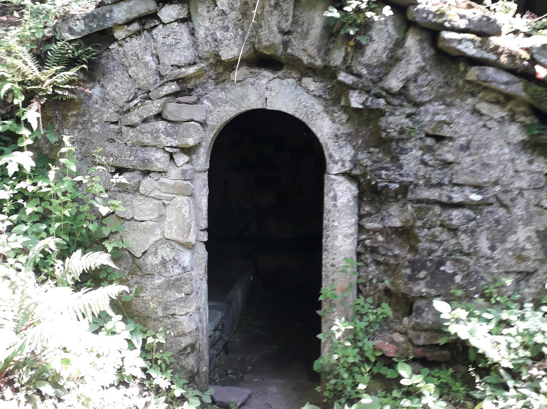 Sentiero delle Burraie - Santa Brigida-蓬塔谢韦必去景点