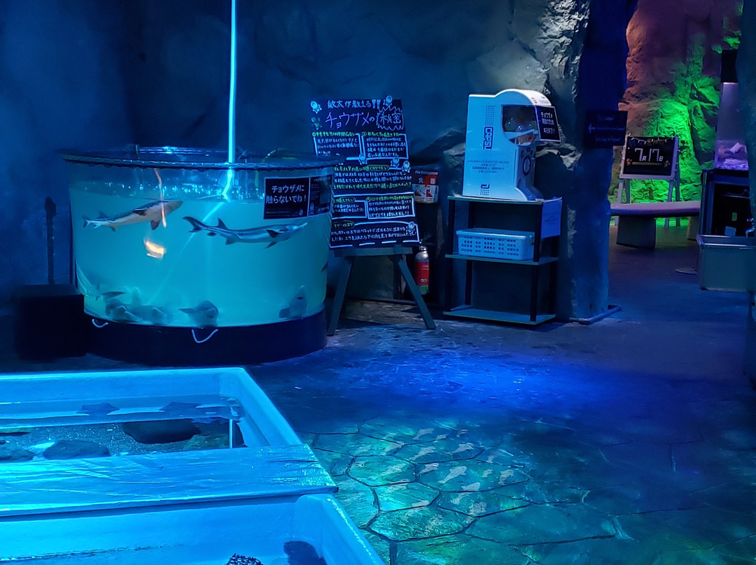 鄂霍茨克塔-纹别市必去景点